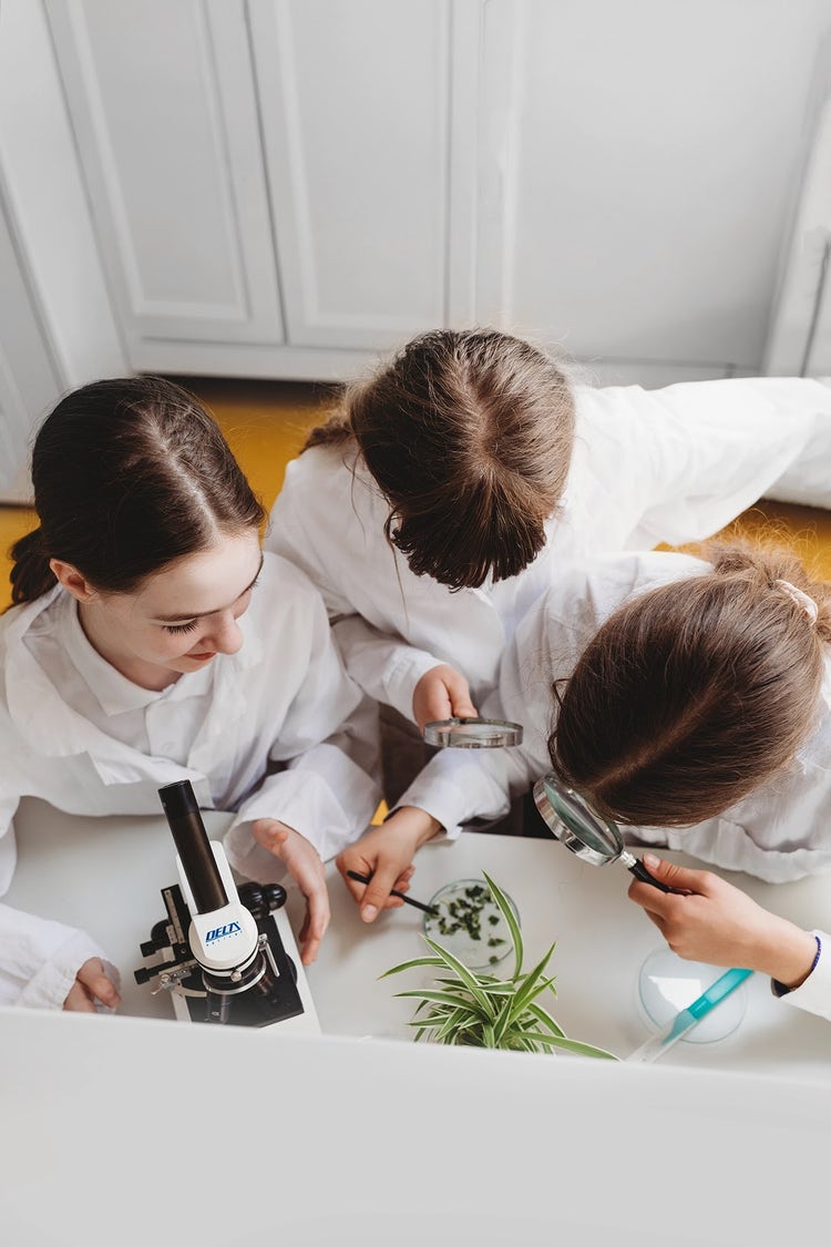 Uczniowie Prywatnej Szkoły Scherzo w Krakowie rozwijają zainteresowania naukami przyrodniczymi podczas praktycznych zajęć w nowoczesnej pracowni biologicznej. Korzystanie z mikroskopów oraz samodzielne wykonywanie obserwacji i doświadczeń pozwala zdobywać wiedzę poprzez eksperymentowanie, rozwijać umiejętność analitycznego myślenia i odkrywać fascynujący świat biologii.