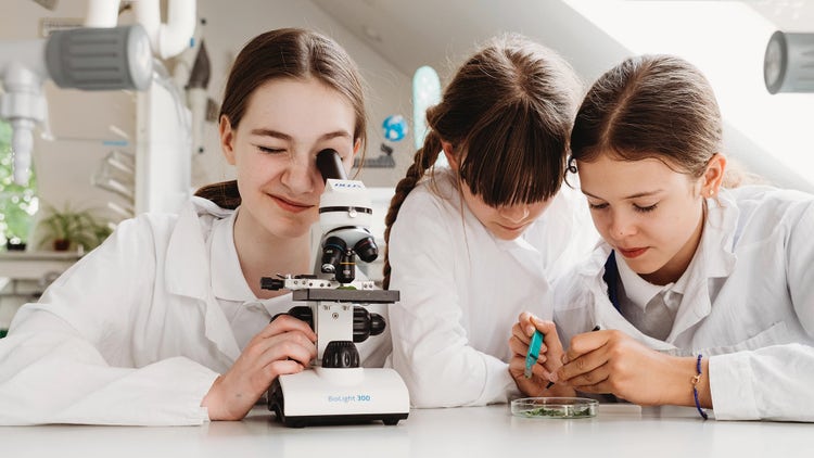 Uczniowie Prywatnej Szkoły Scherzo w Krakowie rozwijają zainteresowania naukami przyrodniczymi podczas praktycznych zajęć w nowoczesnej pracowni biologicznej. Korzystanie z mikroskopów oraz samodzielne wykonywanie obserwacji i doświadczeń pozwala zdobywać wiedzę poprzez eksperymentowanie, rozwijać umiejętność analitycznego myślenia i odkrywać fascynujący świat biologii.